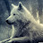Lone Wolf Avatar