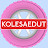 KOLESAEDUT