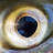 0101tuber Avatar