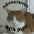 adventures with puss