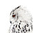 Thehouseofowls Psychic Readings