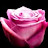 NY B Avatar