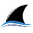FL Sharkvictim