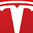 Tesla boy Noureldin Avatar