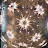 starry s