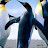 hems kalees Avatar