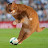 Catinho Avatar