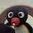 Pingu