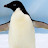 Flipper The Penguin