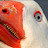 Angry Goose