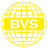BVS Работа за границей