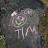 Tim