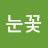 눈꽃