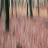 Wald Fee