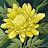 Louise Rasmussen Avatar