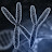 Basis