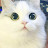 라잎