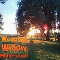 Weeping Willow Homestead Avatar