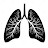 black Lung