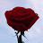 Sandra Reyes Avatar