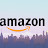 Бизнес на Амазоне