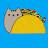 Mr Tacocat
