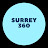 Surrey 360