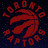 Toronto Raptors Fan Eliav