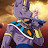 Lord Beerus