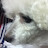 예쁜이