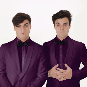 Dolan Twins (TheDolanTwins) YouTube Stats: Subscriber Count, Views ...