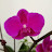 Cooldol59