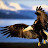 black_eagle_75