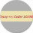 crazy coder10101