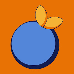 Blue Orange France