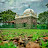 ganesh ghani Avatar