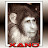 XANO