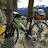 Michael Woods Avatar