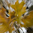 ReNae S Avatar