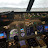 Flight Sim