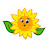 Sun Flower