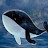 Whale