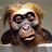 Fergs uK Avatar