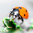 Darryl Davis Avatar