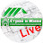 Строй и Живи Live