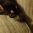 pumps0333 Avatar