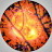 Elvan Dylis Avatar