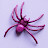 Purple Spider