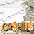 Cashus