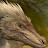 WhiteTip Velociraptor